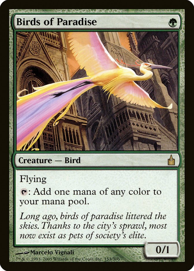 Birds of Paradise [Ravnica: City of Guilds] | Webway Games