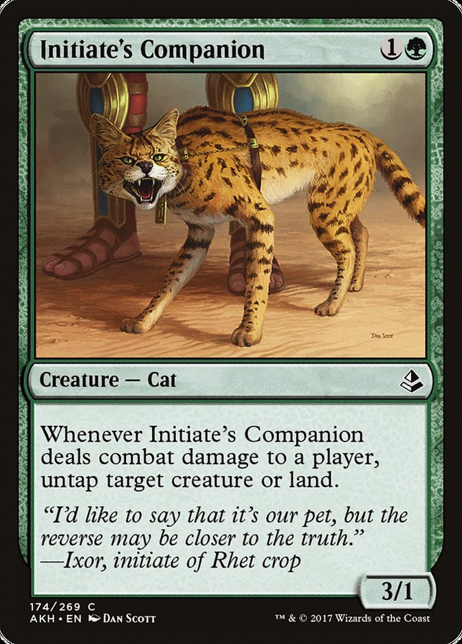 Initiate's Companion [Amonkhet] | Webway Games