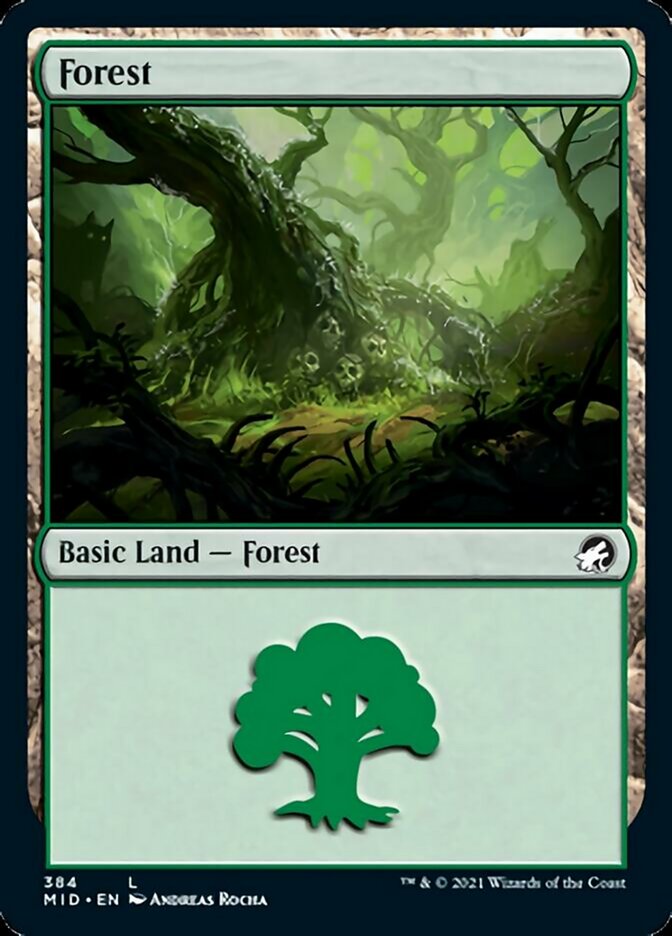Forest (384) [Innistrad: Midnight Hunt] | Webway Games