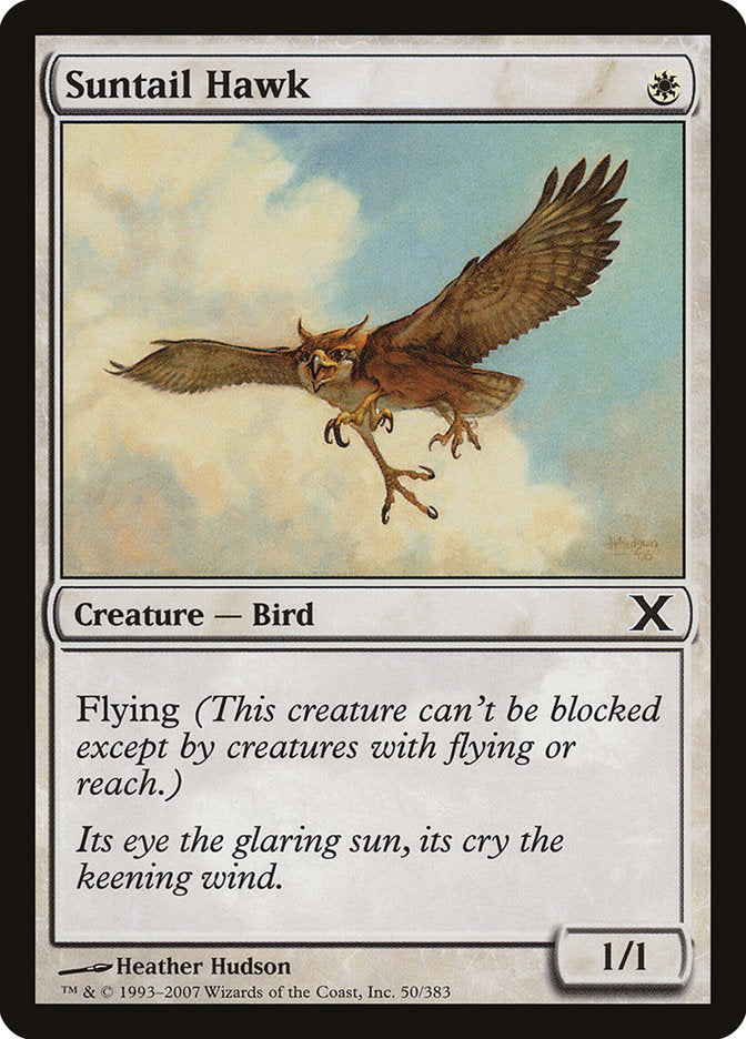 Suntail Hawk [Tenth Edition] | Webway Games