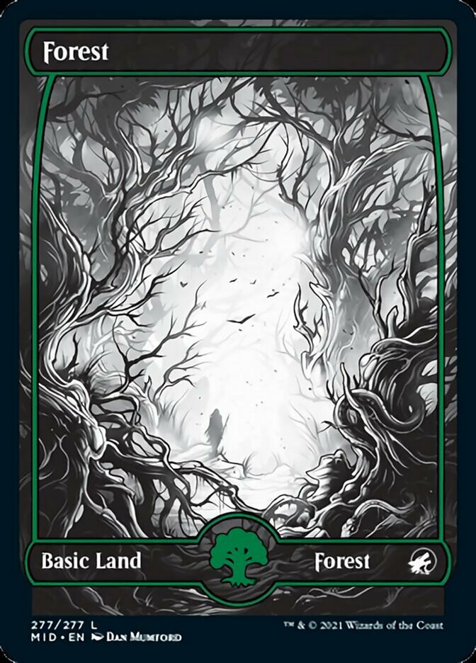 Forest (277) [Innistrad: Midnight Hunt] | Webway Games
