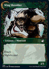 Bird Admirer // Wing Shredder (Showcase Equinox) [Innistrad: Midnight Hunt] | Webway Games