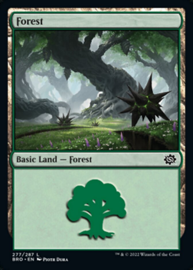 Forest (277) [The Brothers' War] | Webway Games