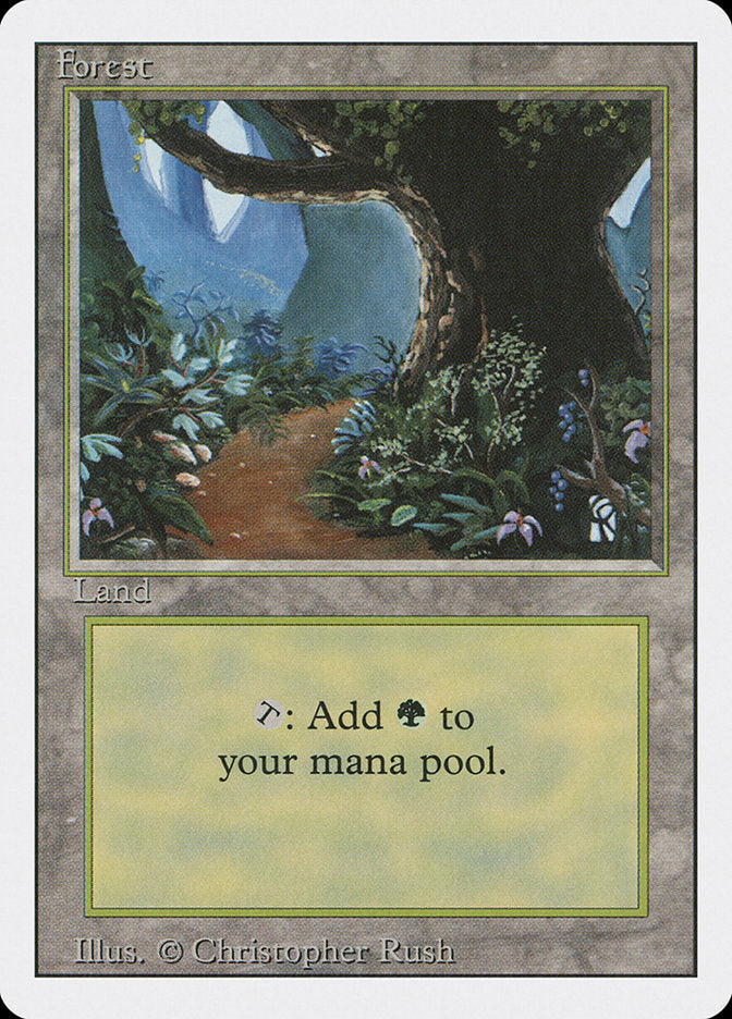 Forest (#305) [Revised Edition] | Webway Games