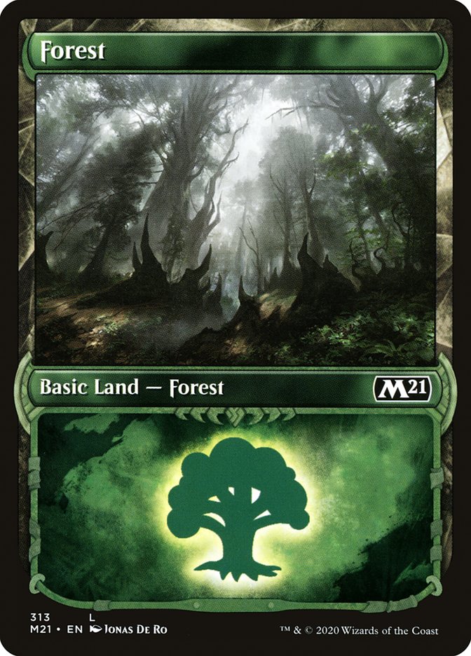 Forest (#313) (Showcase) [Core Set 2021] | Webway Games