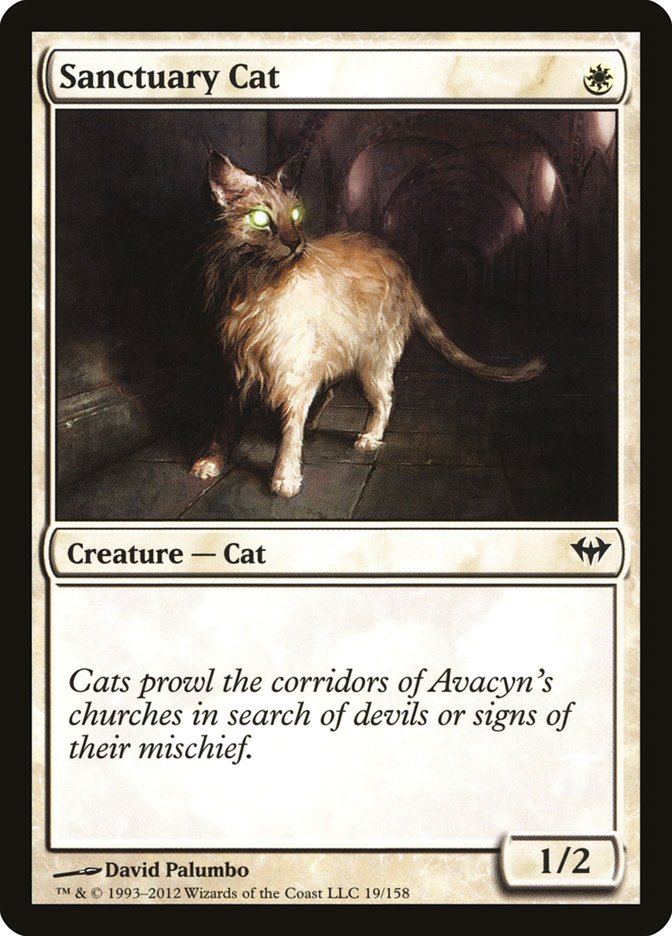 Sanctuary Cat [Dark Ascension] | Webway Games