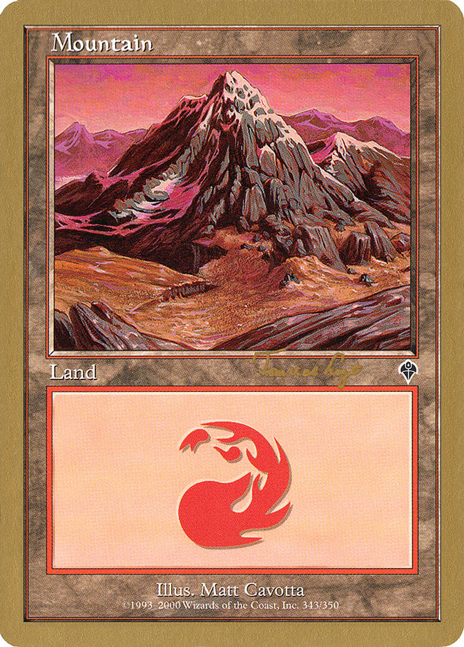 Mountain (tvdl343) (Tom van de Logt) [World Championship Decks 2001] | Webway Games