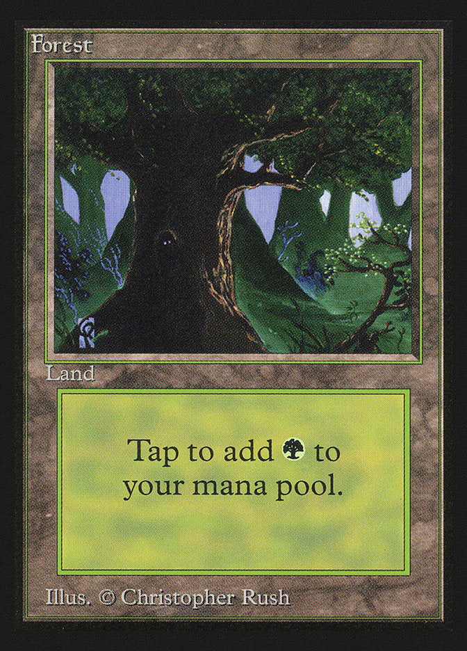 Forest (#302) [International Collectors’ Edition] | Webway Games