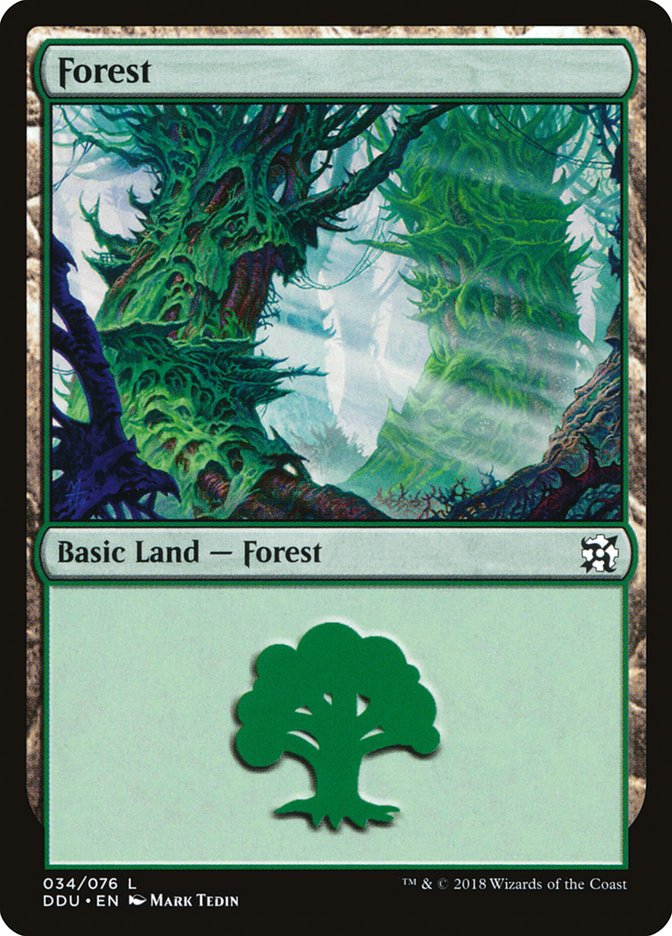 Forest (#34) [Duel Decks: Elves vs. Inventors] | Webway Games