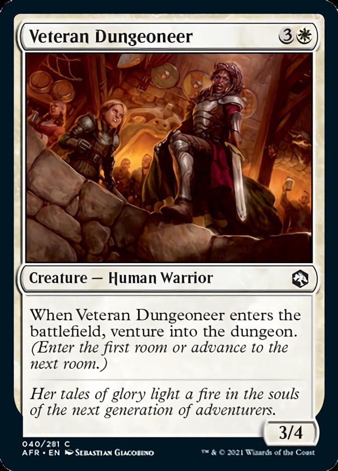 Veteran Dungeoneer [Dungeons & Dragons: Adventures in the Forgotten Realms] | Webway Games