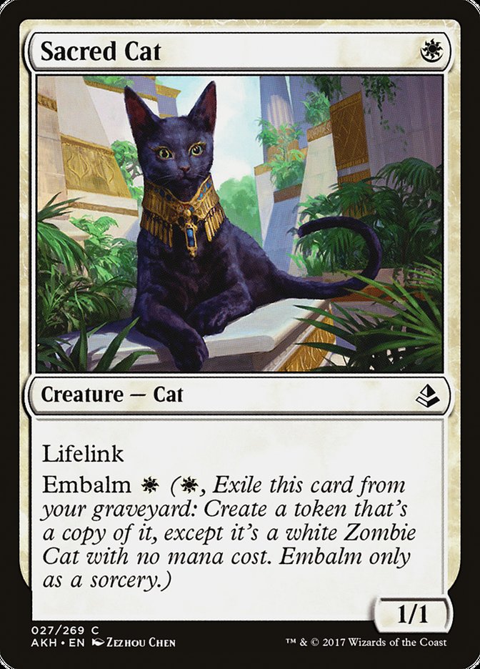 Sacred Cat [Amonkhet] | Webway Games