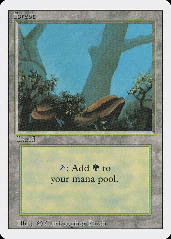 Forest (#304) [Revised Edition]